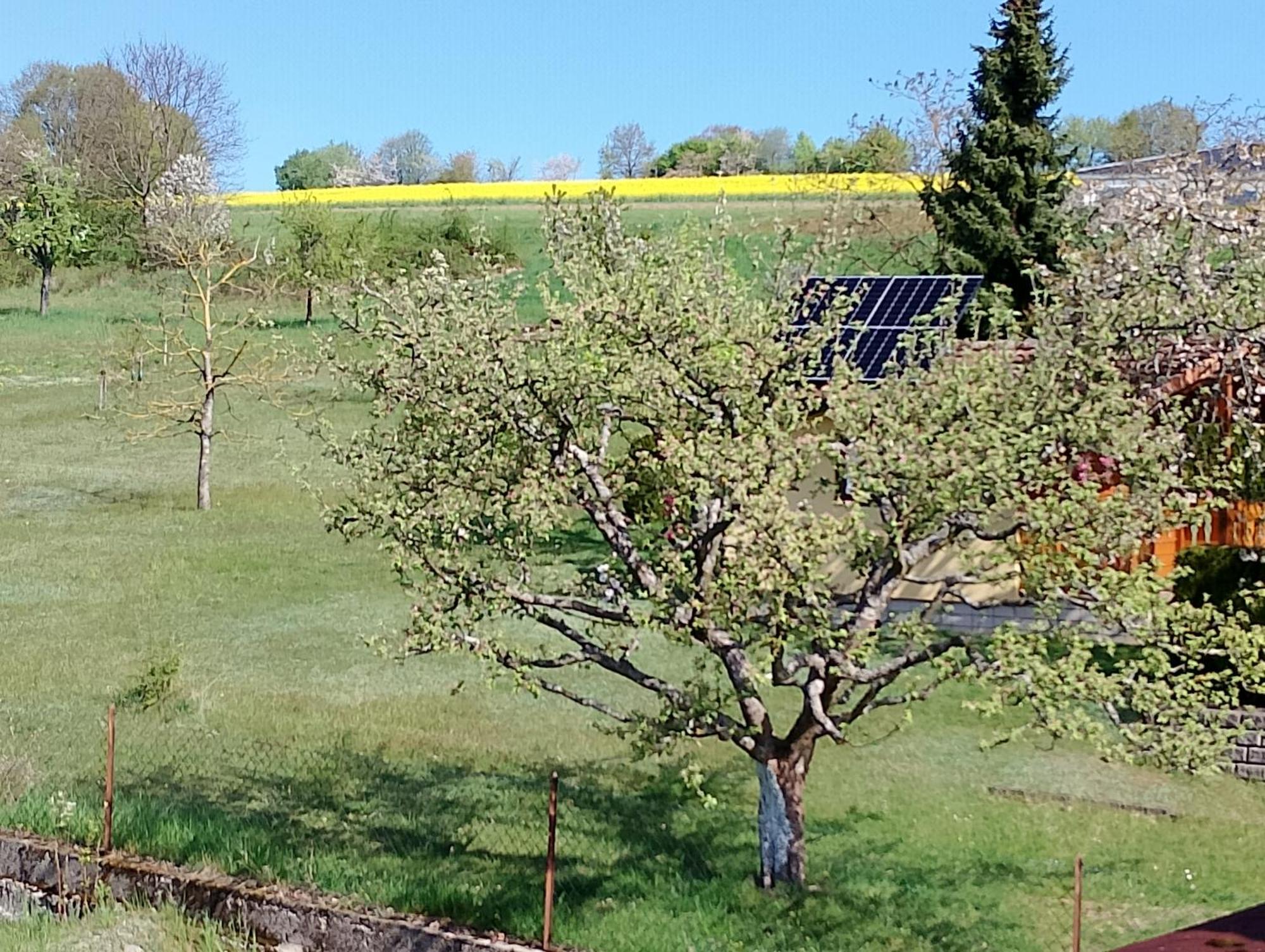 Pension Schmitt Waldfenster Екстериор снимка