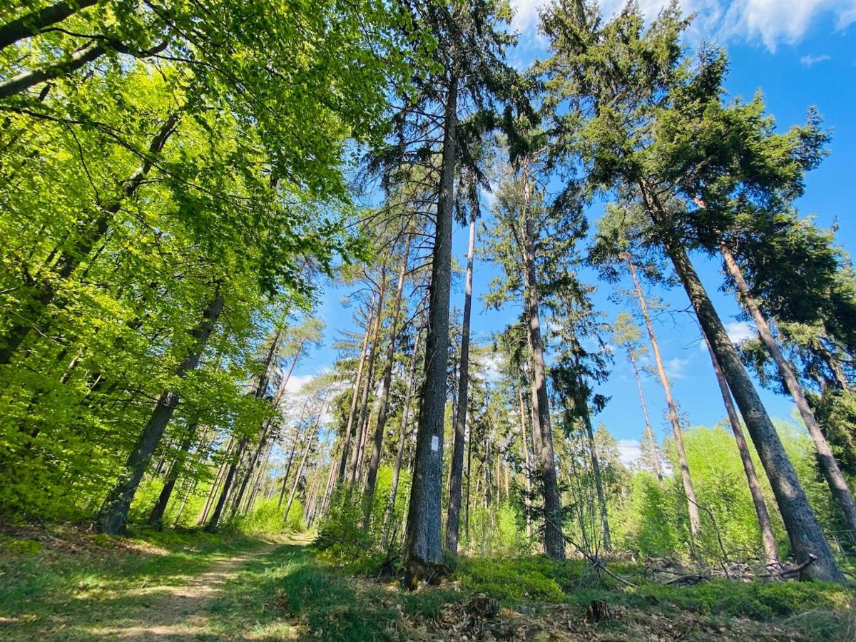 Pension Schmitt Waldfenster Екстериор снимка