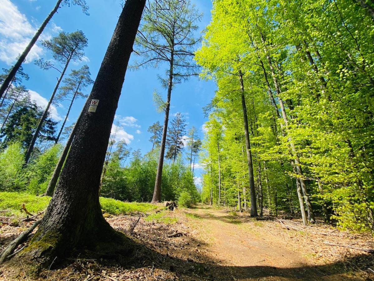 Pension Schmitt Waldfenster Екстериор снимка
