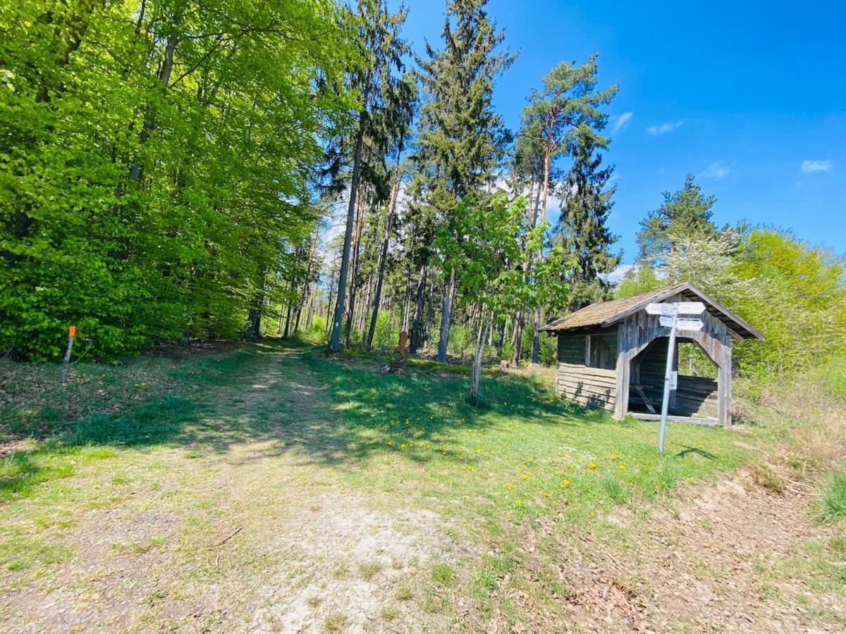Pension Schmitt Waldfenster Екстериор снимка